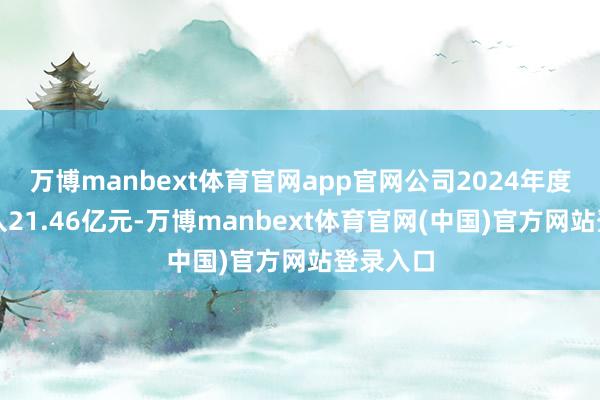 万博manbext体育官网app官网公司2024年度商业收入21.46亿元-万博manbext体育官网(中国)官方网站登录入口