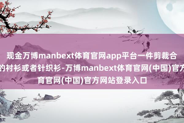 现金万博manbext体育官网app平台一件剪裁合体、质量柔滑的衬衫或者针织衫-万博manbext体育官网(中国)官方网站登录入口