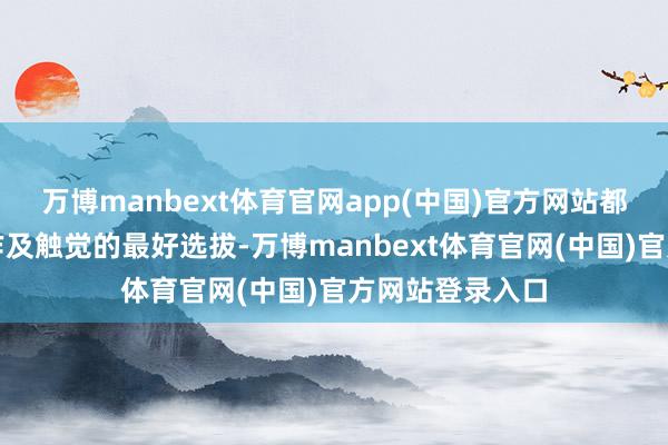 万博manbext体育官网app(中国)官方网站都是进修宽广动作及触觉的最好选拔-万博manbext体育官网(中国)官方网站登录入口