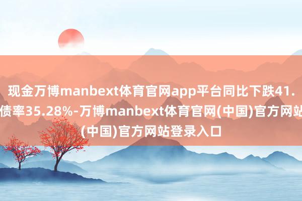 现金万博manbext体育官网app平台同比下跌41.88%；欠债率35.28%-万博manbext体育官网(中国)官方网站登录入口