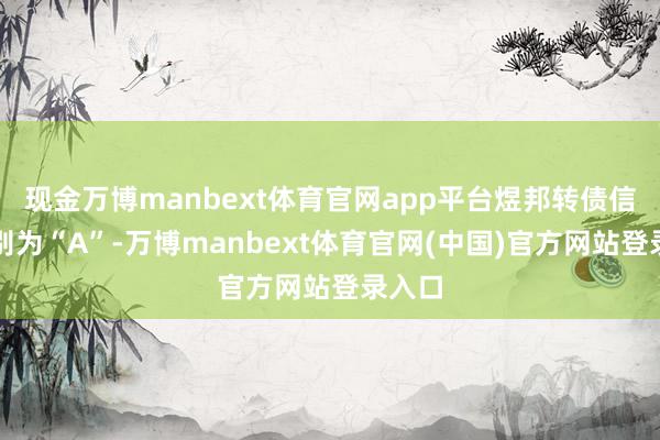 现金万博manbext体育官网app平台煜邦转债信用级别为“A”-万博manbext体育官网(中国)官方网站登录入口