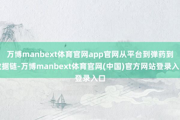 万博manbext体育官网app官网从平台到弹药到数据链-万博manbext体育官网(中国)官方网站登录入口
